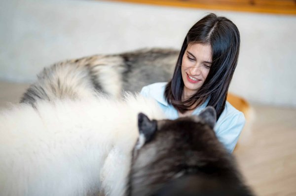 TikTok et les Animaux : Pourquoi les Vidéos d'Animaux Cartonnent-elles ?