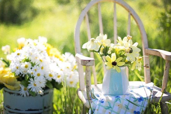 10 produits essentiels pour un jardin fleuri et en santé